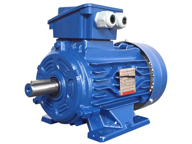 Read more about the article ADK Electric Motor B3